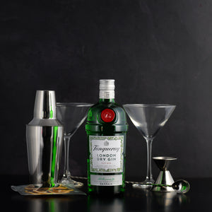 Tanqueray Gin Classic Martini Gift Set
